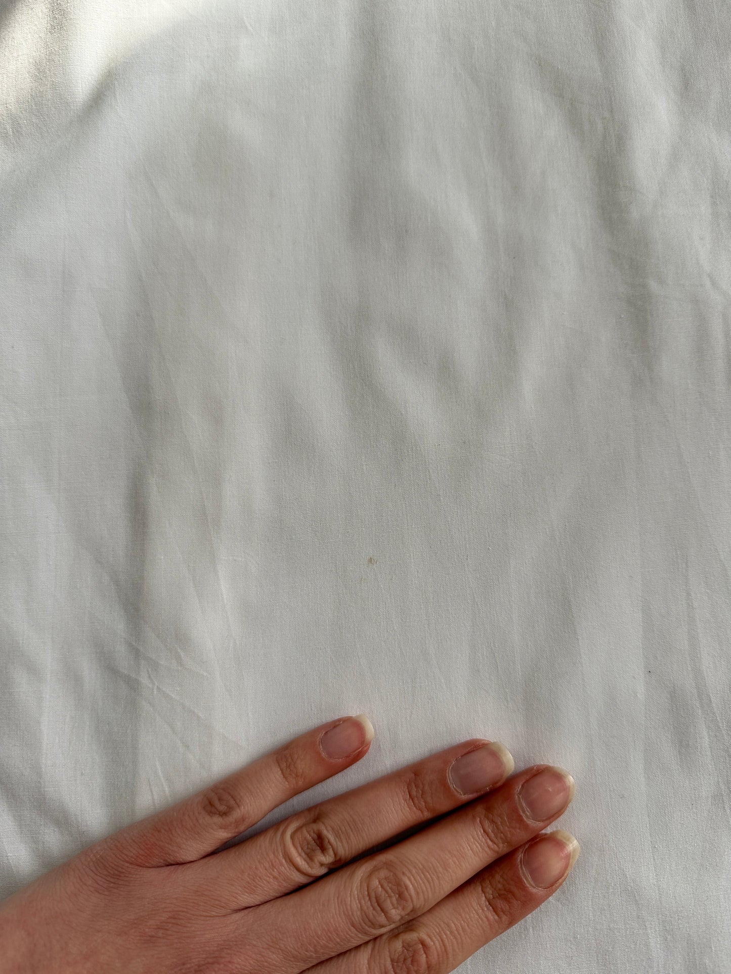 Christian Dior Monsieur Cotton Shirt - L/XL