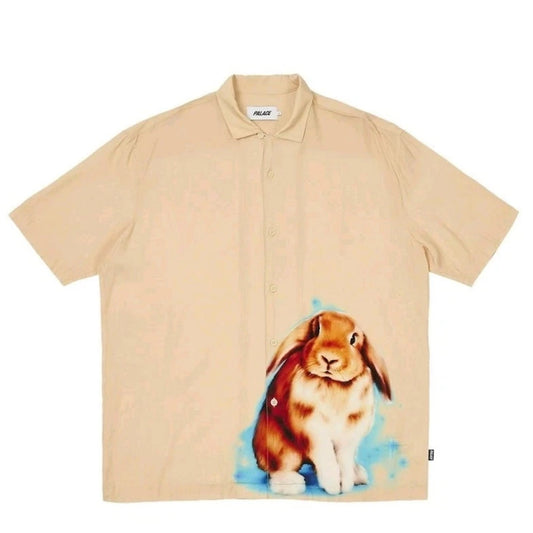 https://cdn.shopify.com/s/files/1/0015/2662/8404/files/23_8c9e07b6-b6a6-4c5e-8cd6-949c1bd93f9b.jpg?v=1778940056