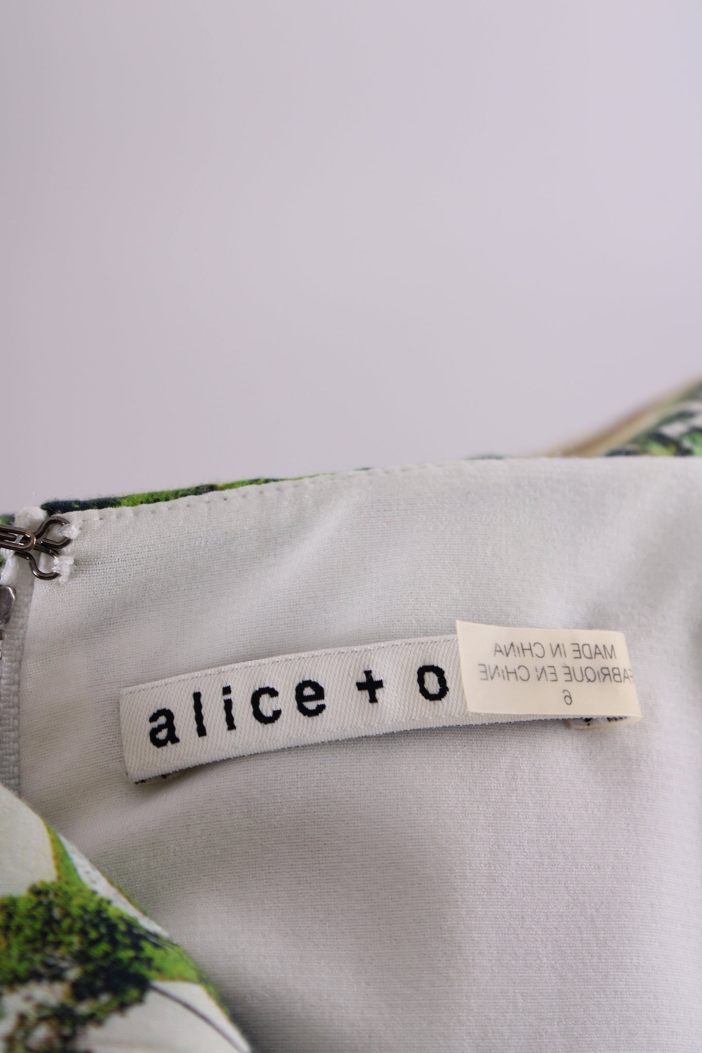 Alice & Olivia S/S Courtyard Print Dress Green/ Cream 10 | O/S, Cream