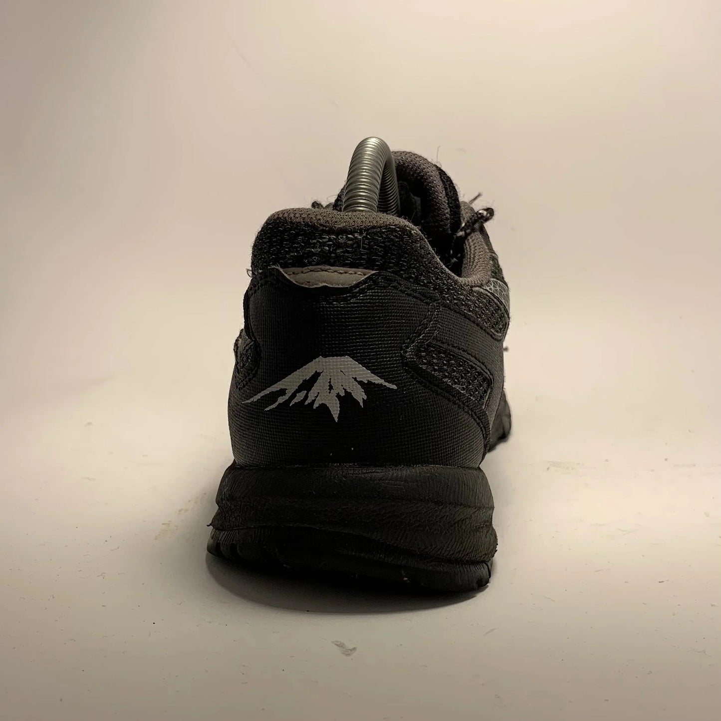 ASICS Gel-Fuji Freeze 3 GTX (2016)