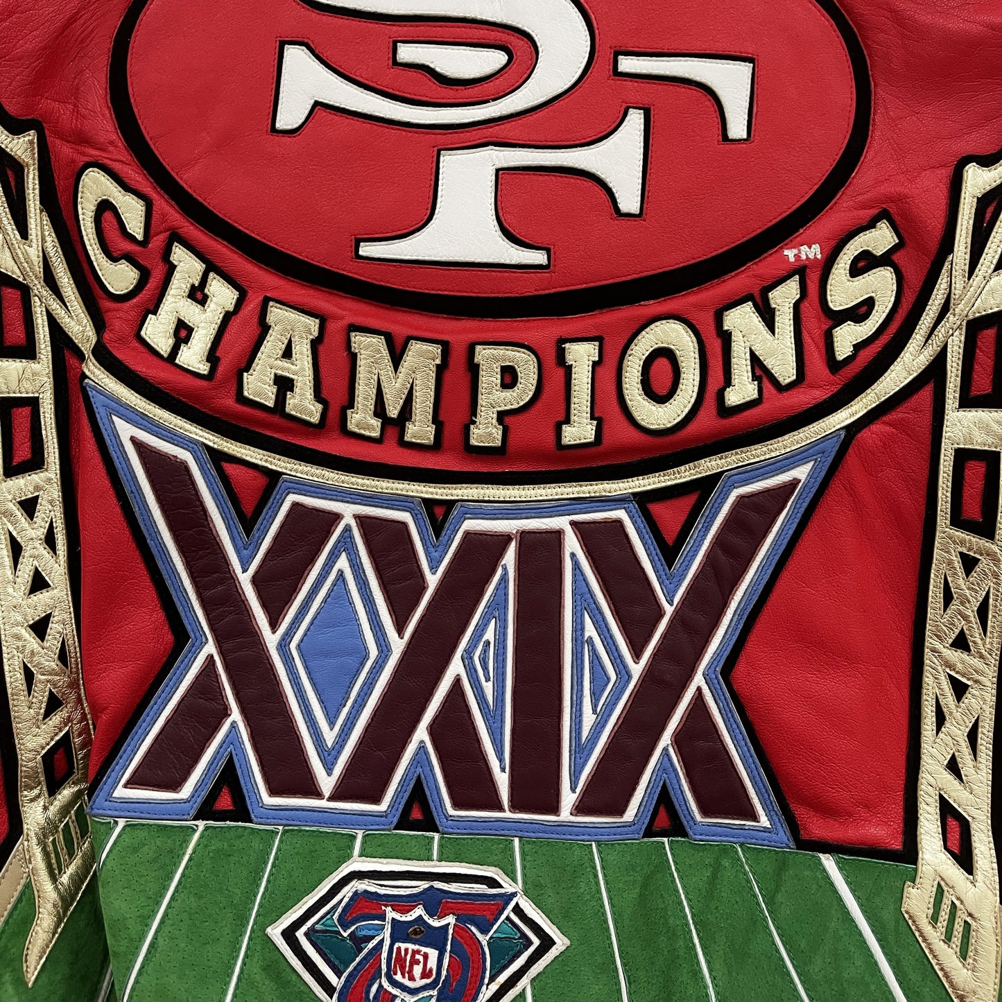 Jeff Hamilton NFL 49ers XXIX Super Bowl Champions 1995 Leather Jacket - L