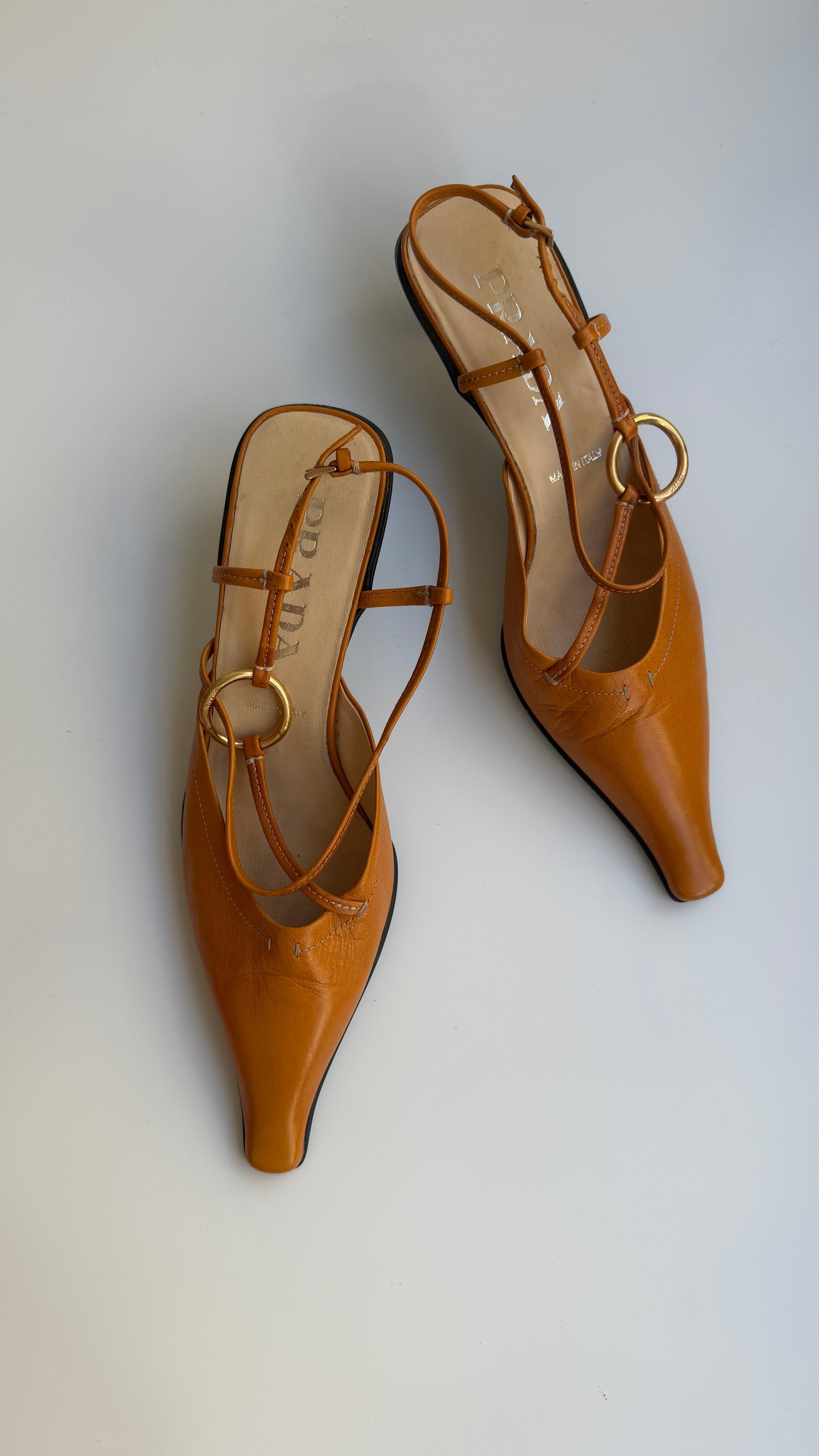 https://cdn.shopify.com/s/files/1/0620/3408/4027/files/16F65C1A-5D1C-4A52-A490-17000754A2EB.jpg?v=1779707789