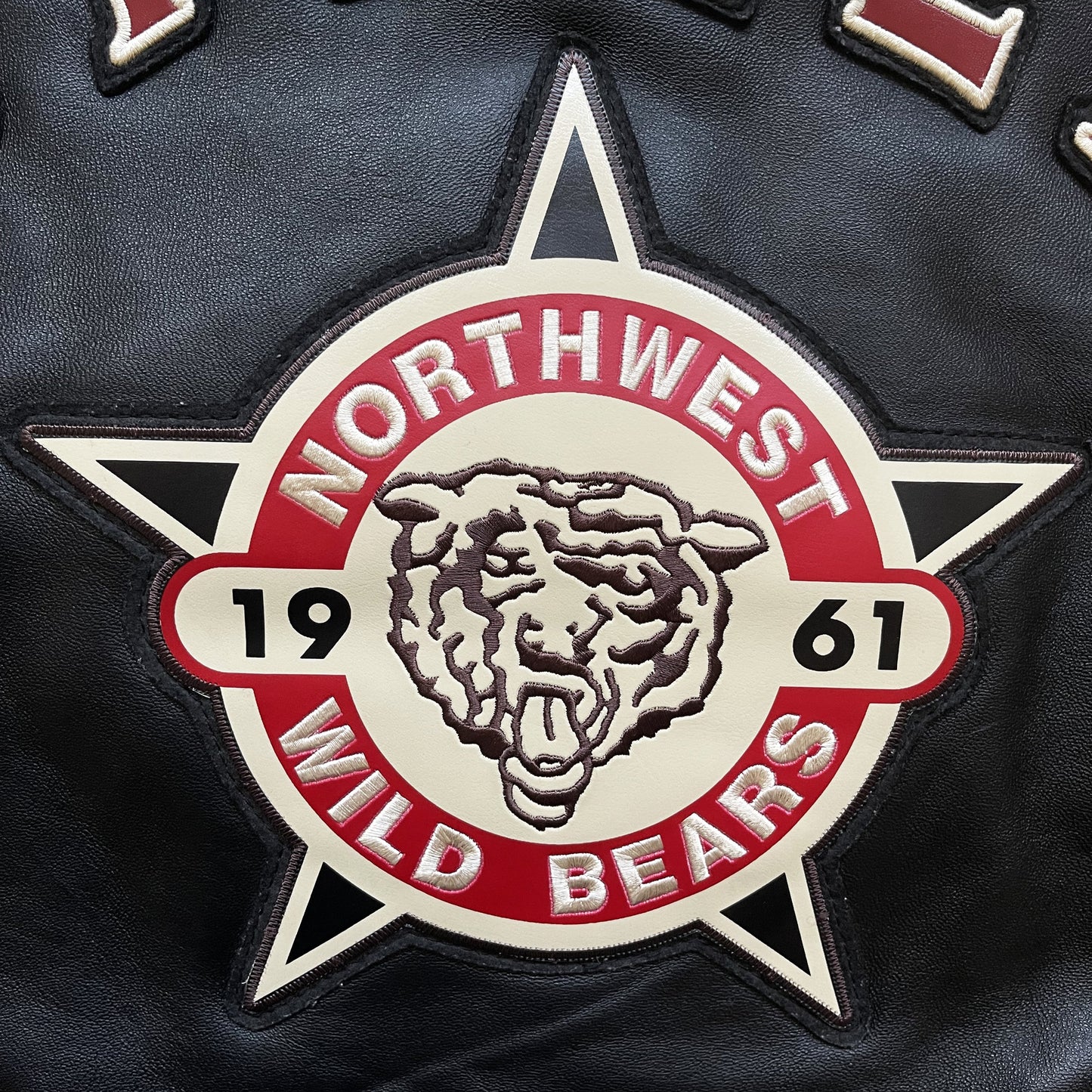 Avirex 'North West Wild Bears' Leather Varsity Jacket - XL