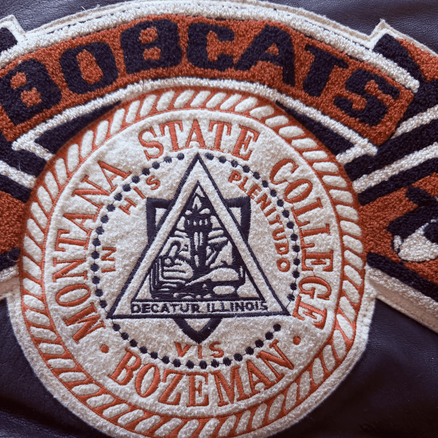 Avirex Bobcats Leather Varsity Jacket - S | Small, Tan