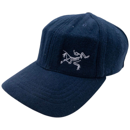 Vintage Arcteryx Embroidered Flexfit Hat