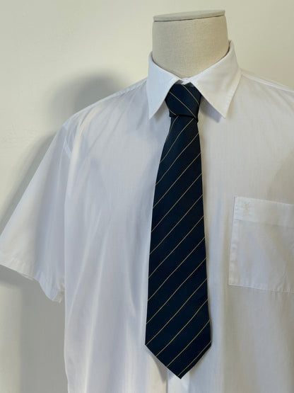 Pierre Cardin Paris 1990s Pure Silk Striped Tie