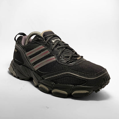 Adidas Trediac Climaproof GTX (2010)