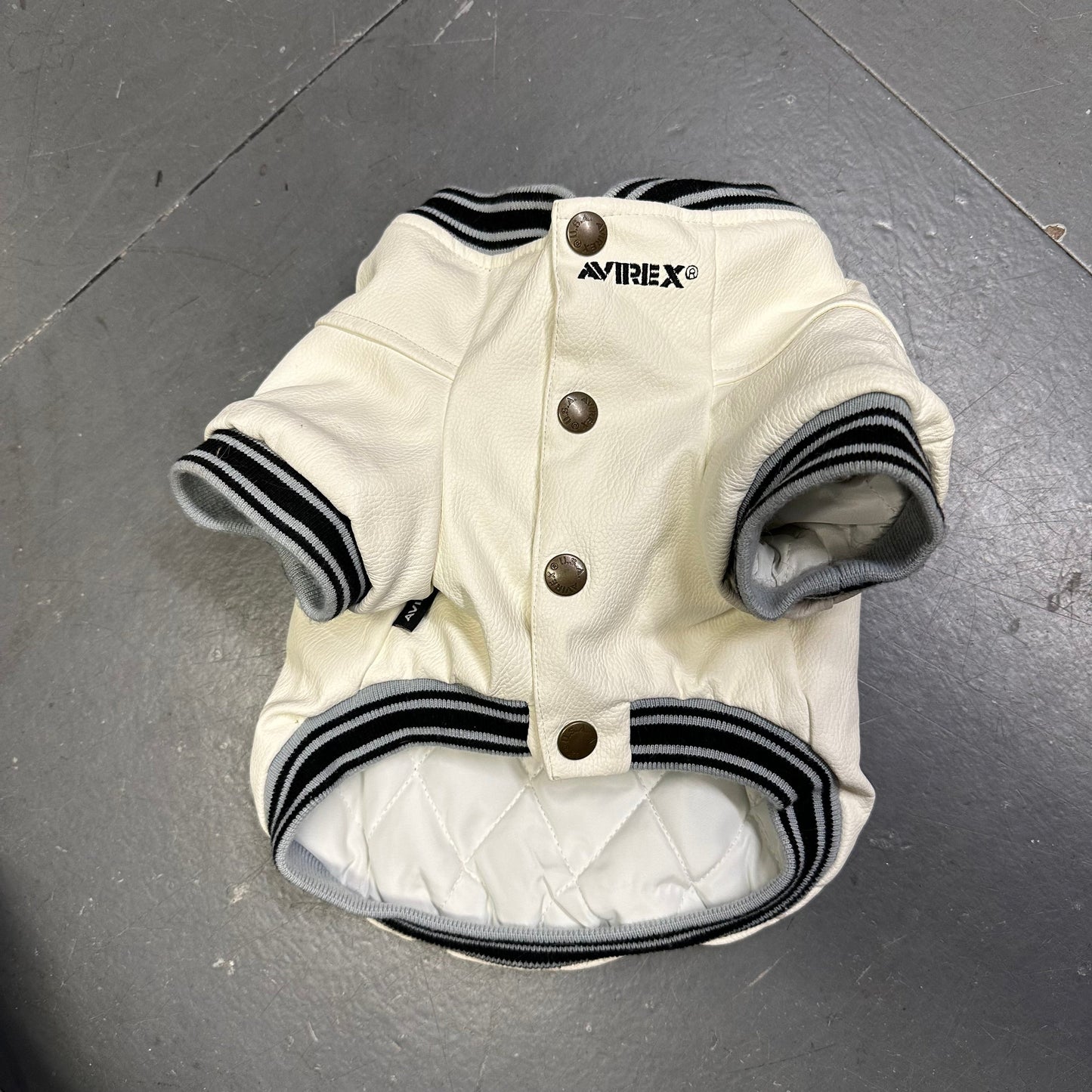 Avirex Leather Jacket For Dog In White | White, White