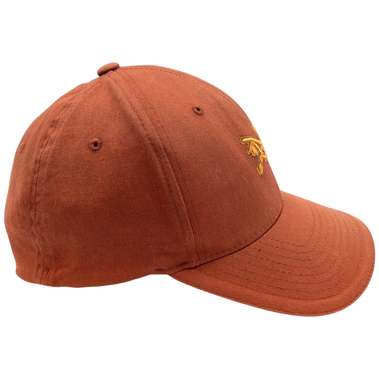 Vintage Arcteryx Embroidered Hat