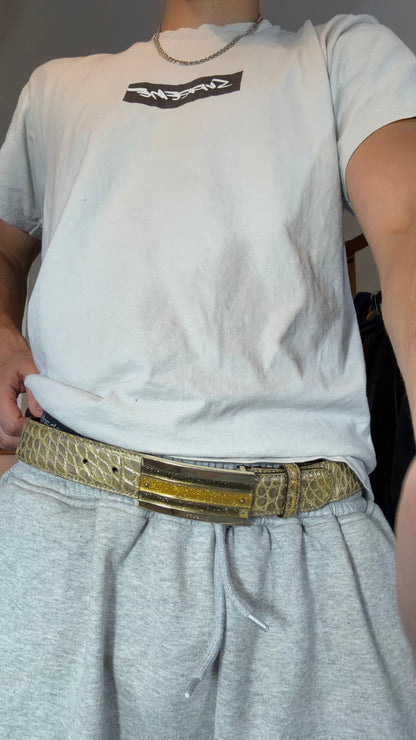 Gucci by Tom Ford 00’s Metallic Crocodile Leather Web Belt | O/S, Gold