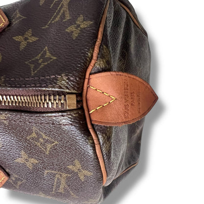 Louis Vuitton Speedy Handbag