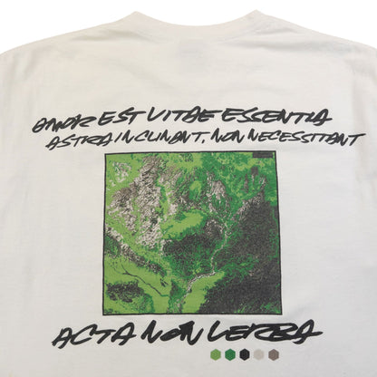 Vintage 2000s Stussy X Futura Graphic T Shirt Size L | Large, White
