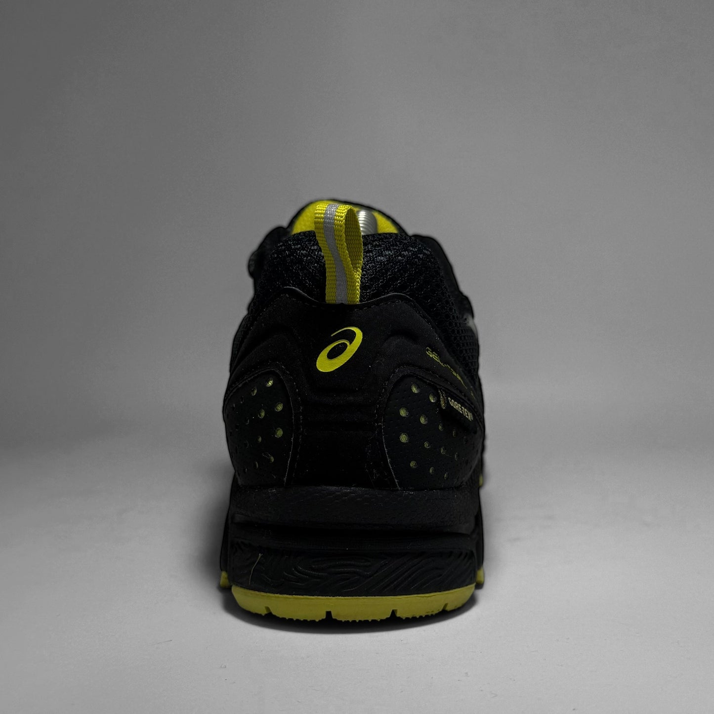 ASICS Gel-Trail Lahar 4 GTX (2012)