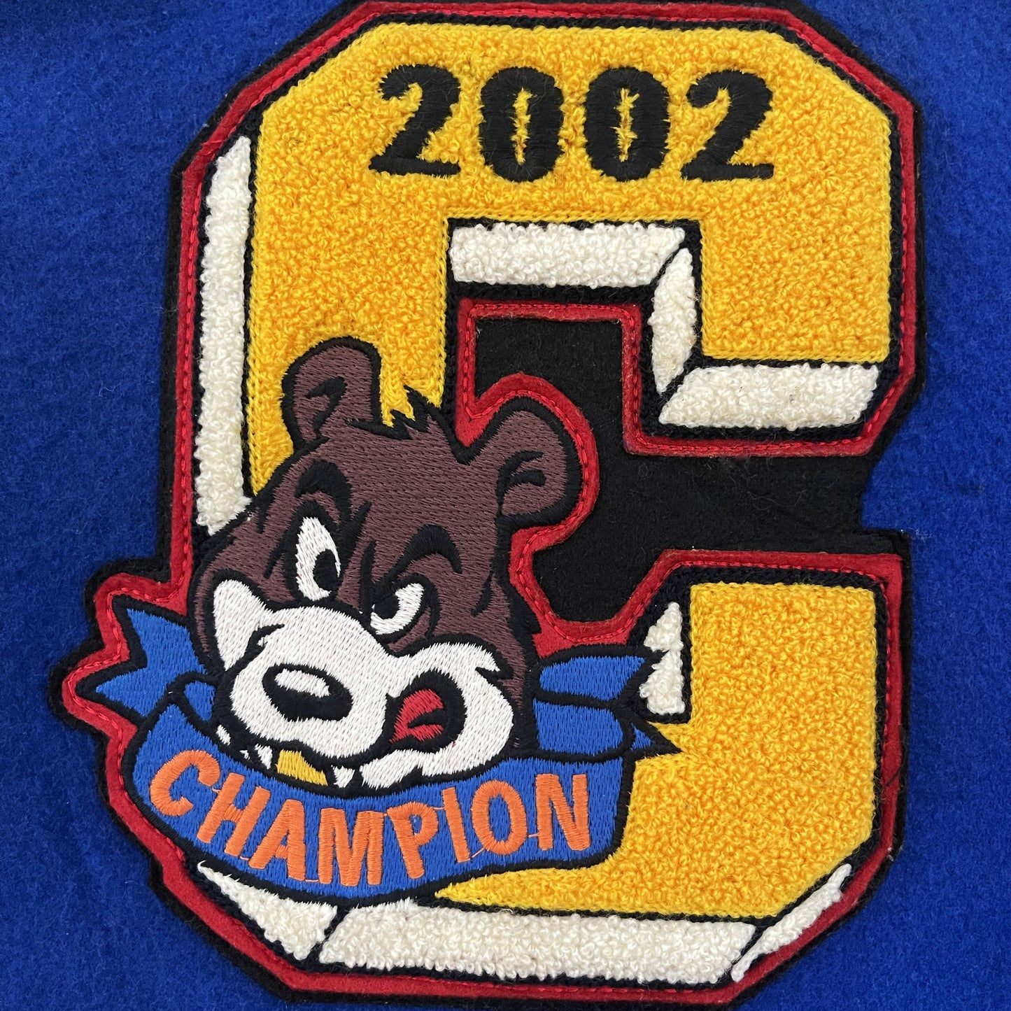 Champion Varsity Jacket - M