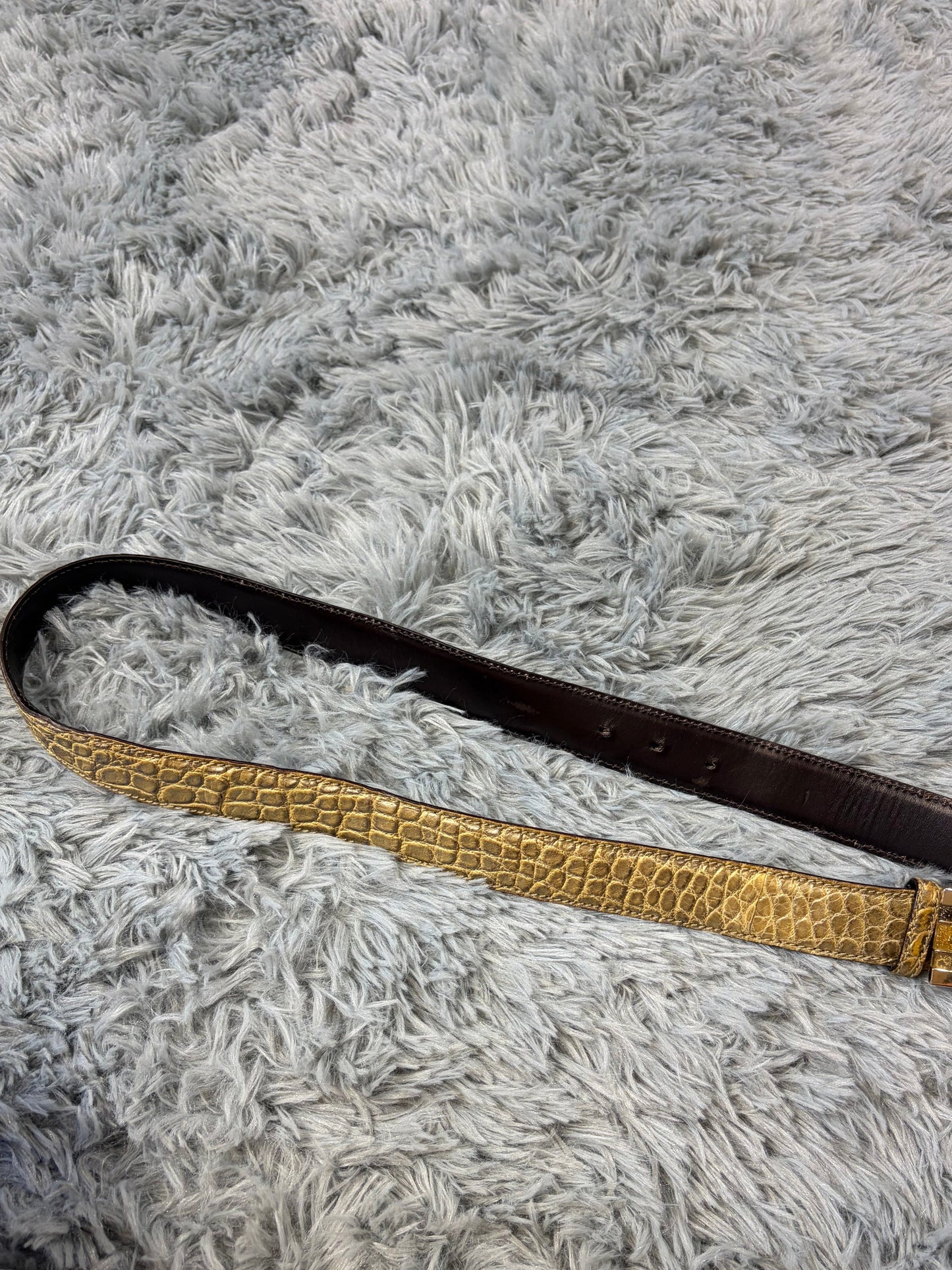 Gucci by Tom Ford 00’s Metallic Crocodile Leather Web Belt | O/S, Gold