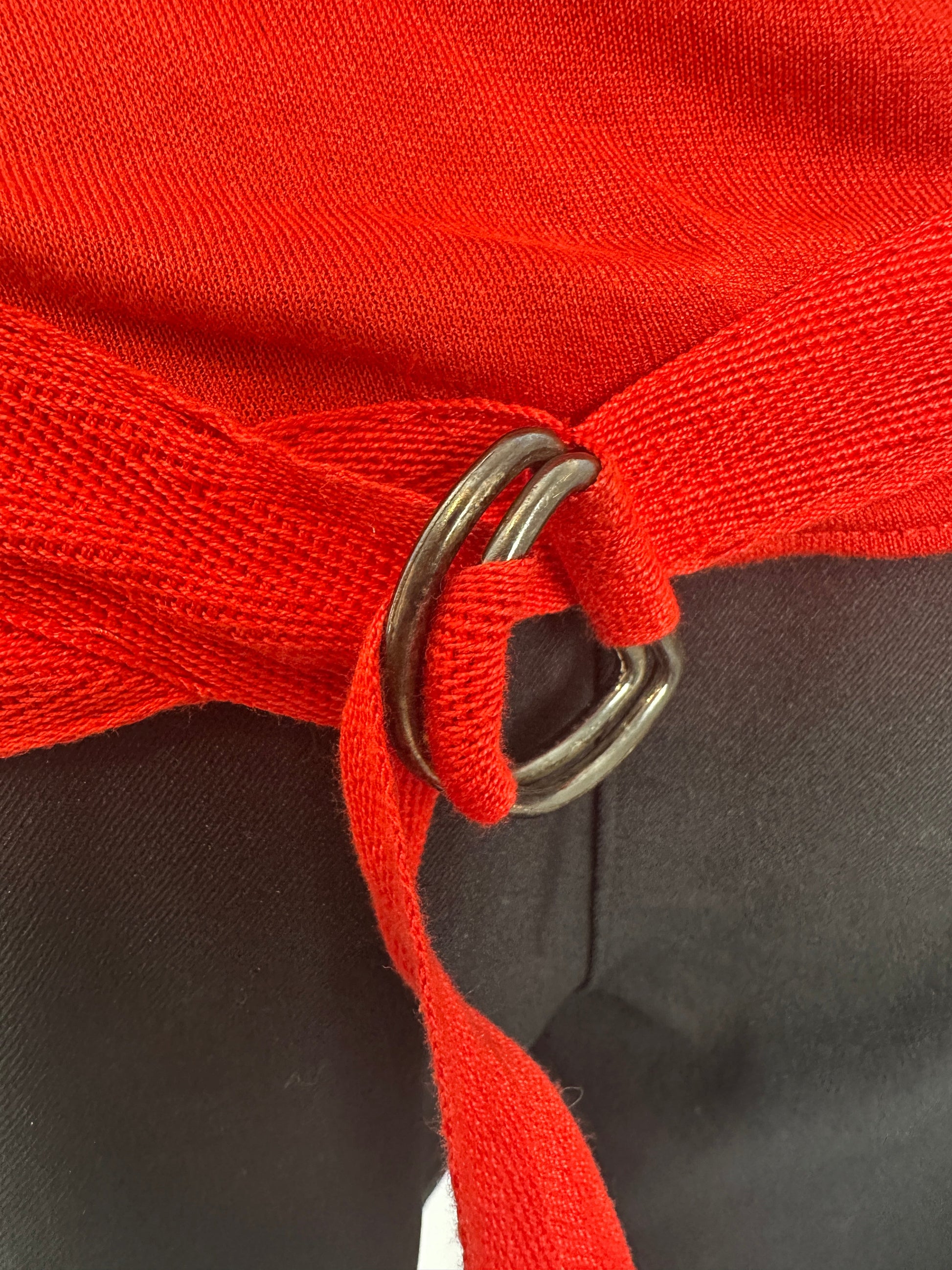 https://cdn.shopify.com/s/files/1/0900/2729/5066/files/Alexander_McQueen_Irere_Buckle_Top_2003_Close_Up.jpg?v=1774454795