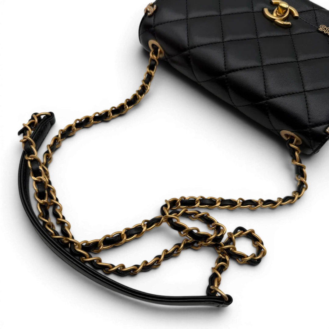 https://cdn.shopify.com/s/files/1/0564/9376/8855/files/Chanel_Handtasche_Cruise_23C_Mini_Flap_bag_mit_Emaille-_und_Strassdetails_aus_Lammleder_schwarz_vintage_CC7190_07c49fa7-7293-4b42-9aab-c4b9c0c04d18.webp?v=1779959982