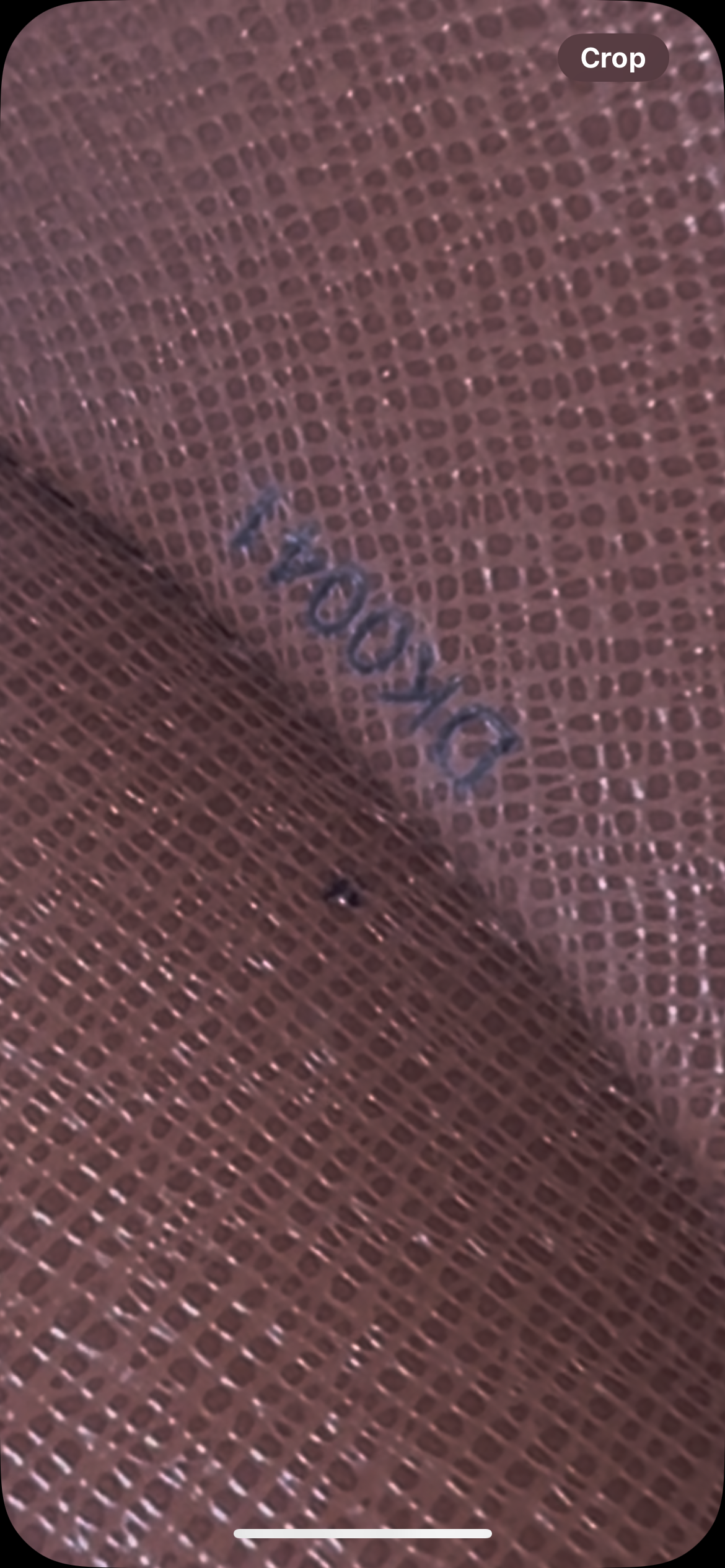 Louis Vuitton Papillon Handbag