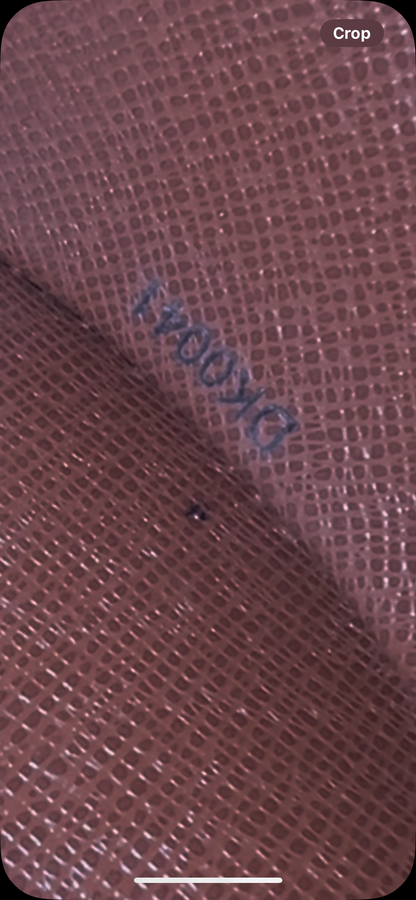 Louis Vuitton Papillon Handbag