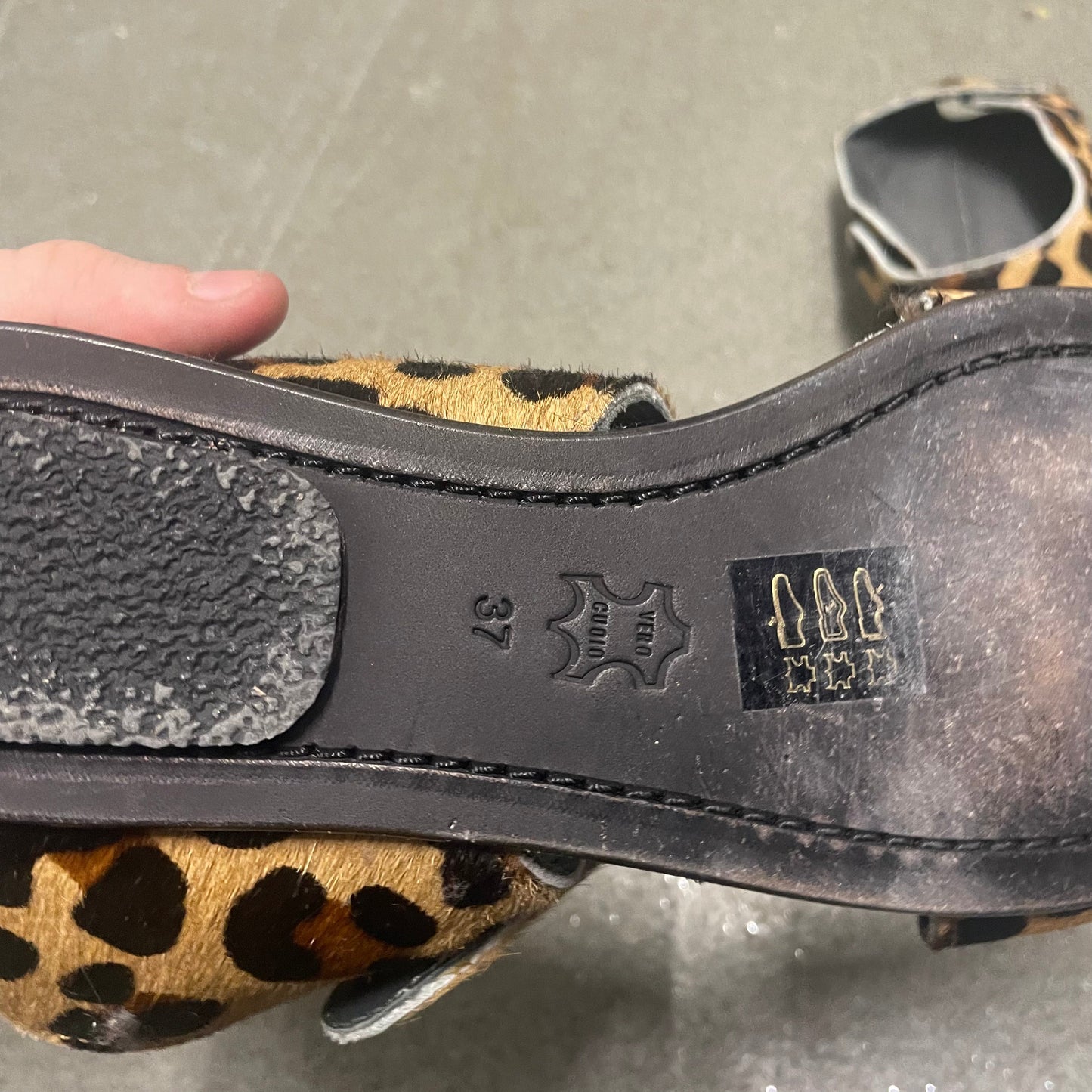 https://cdn.shopify.com/s/files/1/0909/3598/4473/files/FullSizeRender_bf3101a5-f2f1-4075-88c6-2c0e0461f50a.heic?v=1736194239