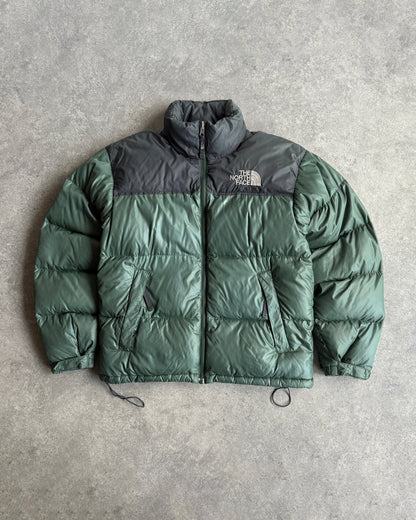 the north face 2004 nuptse 700 down fill puffer jacket (s) | Small, Multicoloured