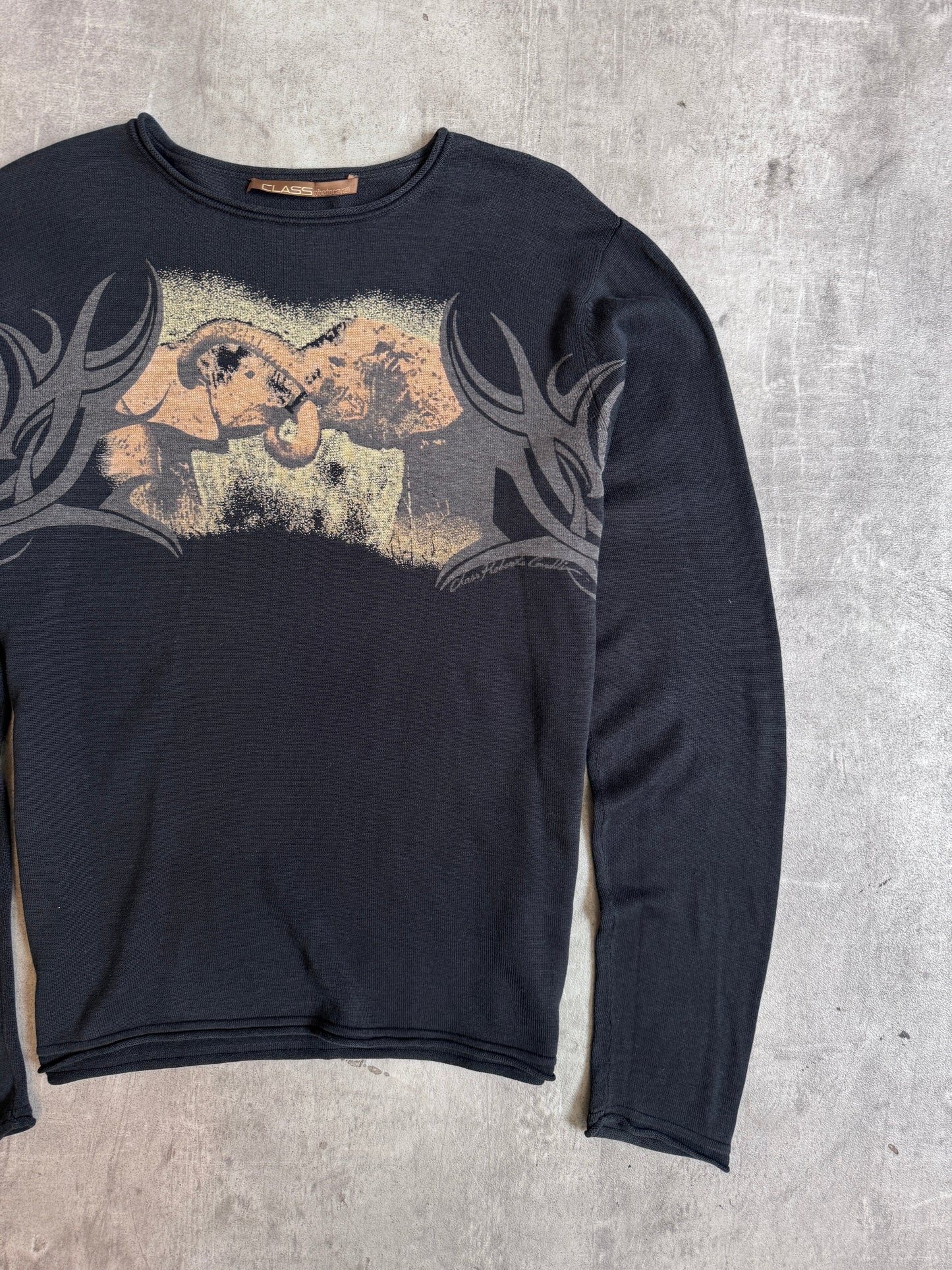 Roberto Cavalli Class Line Tattoo Graphic Print LS Tee