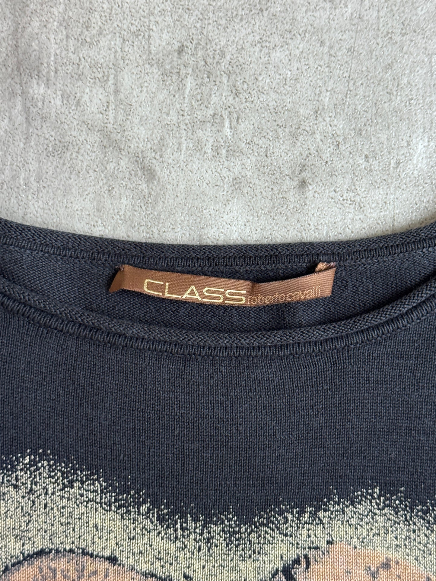 Roberto Cavalli Class Line Tattoo Graphic Print LS Tee