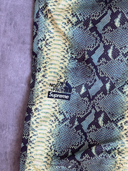 S/S 2018 Supreme X North Face Taped Seam Snakeskin Tech Trousers