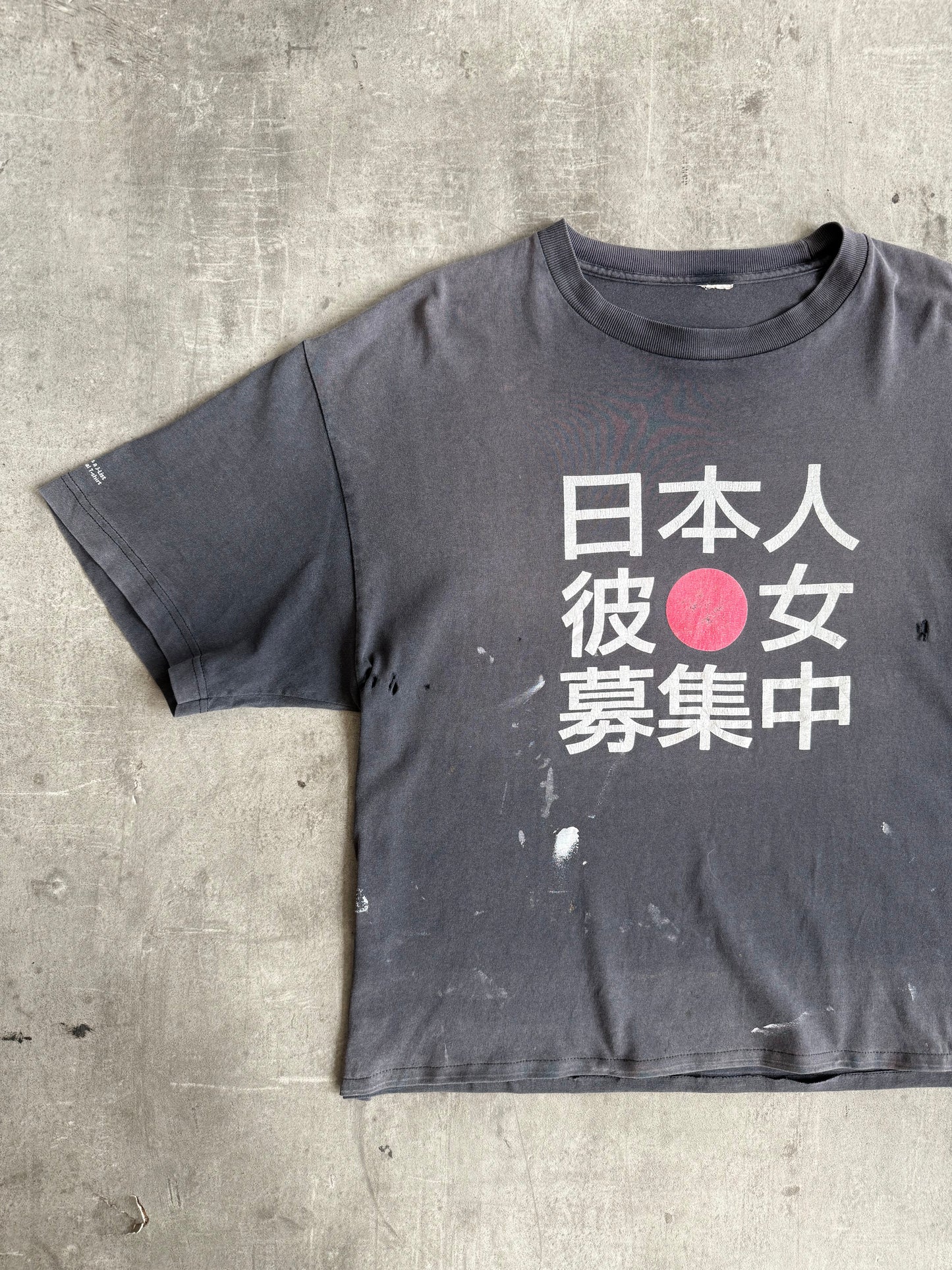 2000's 'Searching For Japanese Girlfriend' Distressed Tourist Tee | Large, Multicoloured