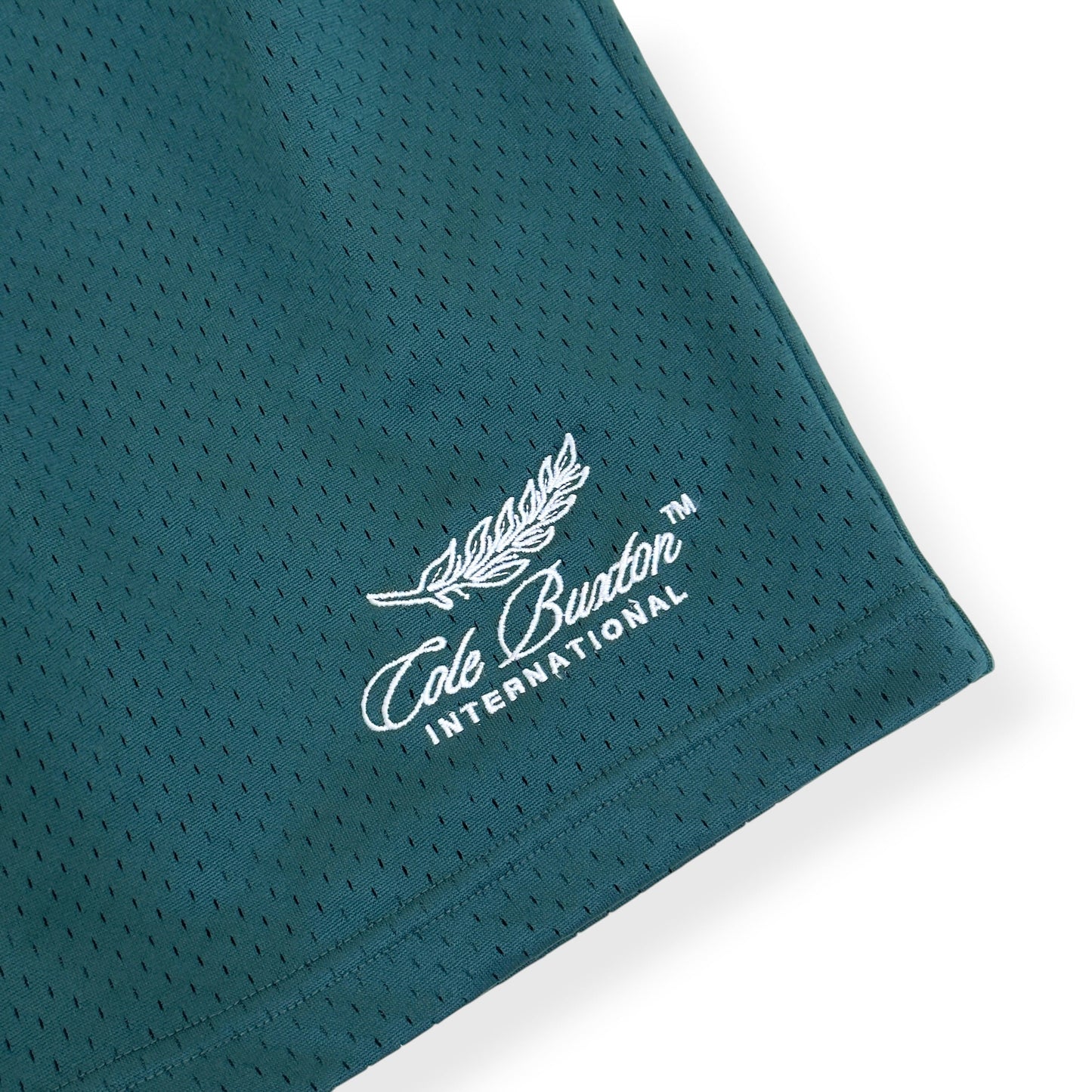COLE BUXTON JERSEY SHORTS GREEN M | Medium, Green