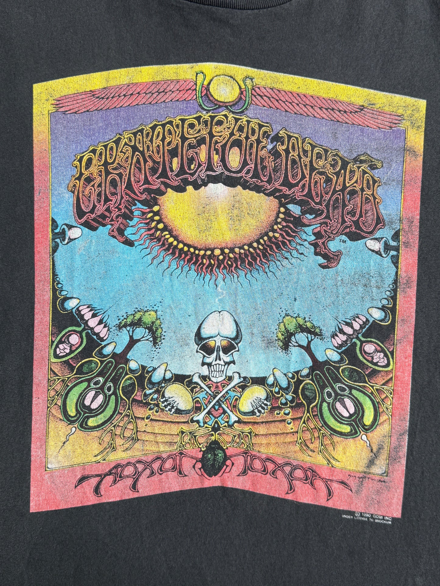 1990 Grateful Dead Aoxomoxa Single Stitch Graphic Tee
