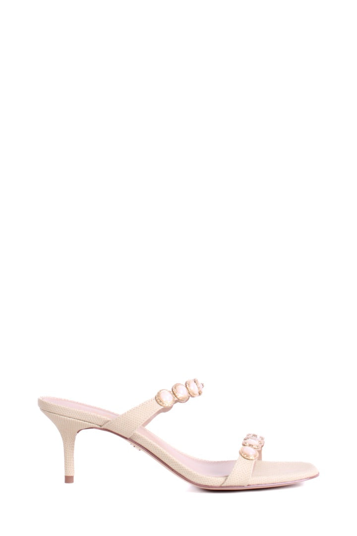 https://cdn.shopify.com/s/files/1/0770/3278/4192/files/IMG_6481.jpg?v=1777473266