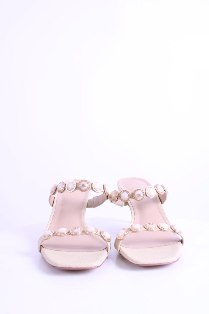 https://cdn.shopify.com/s/files/1/0770/3278/4192/files/IMG_6485_202.jpg?v=1777473266