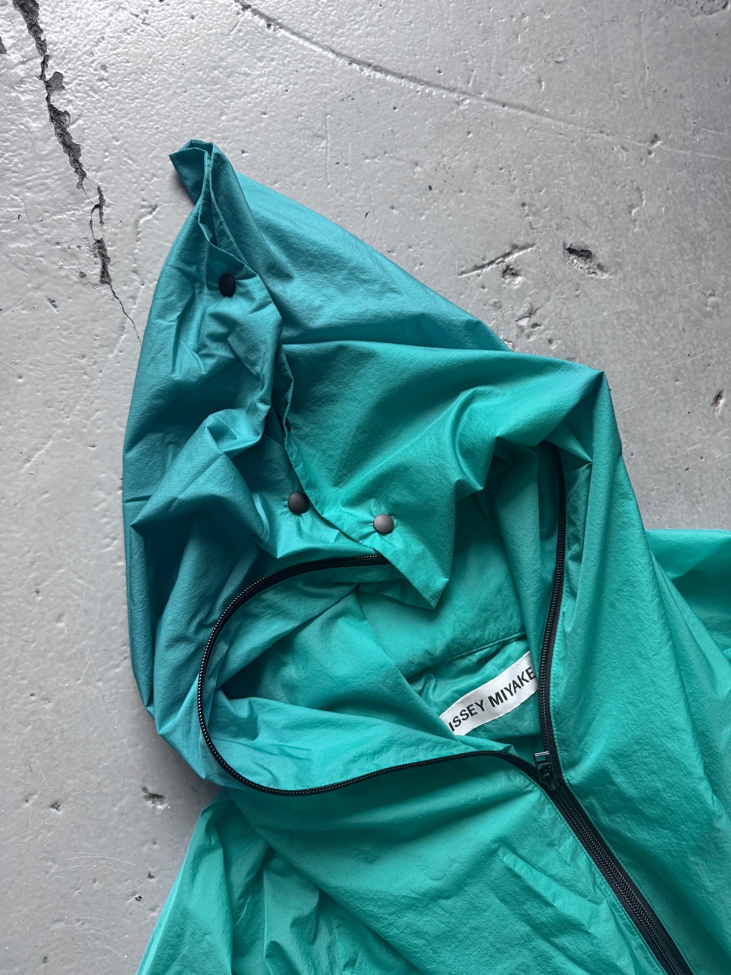 https://cdn.shopify.com/s/files/1/0909/3598/4473/files/IMG_65812.jpg?v=1778698575