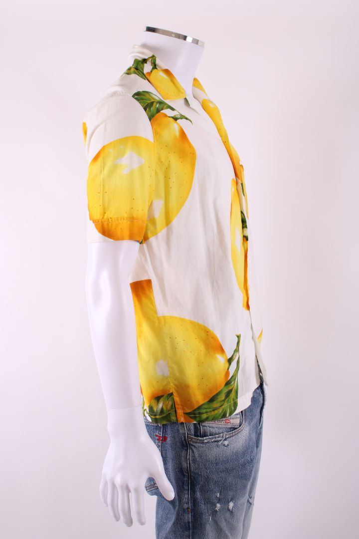 https://cdn.shopify.com/s/files/1/0770/3278/4192/files/IMG_7019_19a20db3-28be-4815-a44a-f5c844de9e8e.jpg?v=1777991819