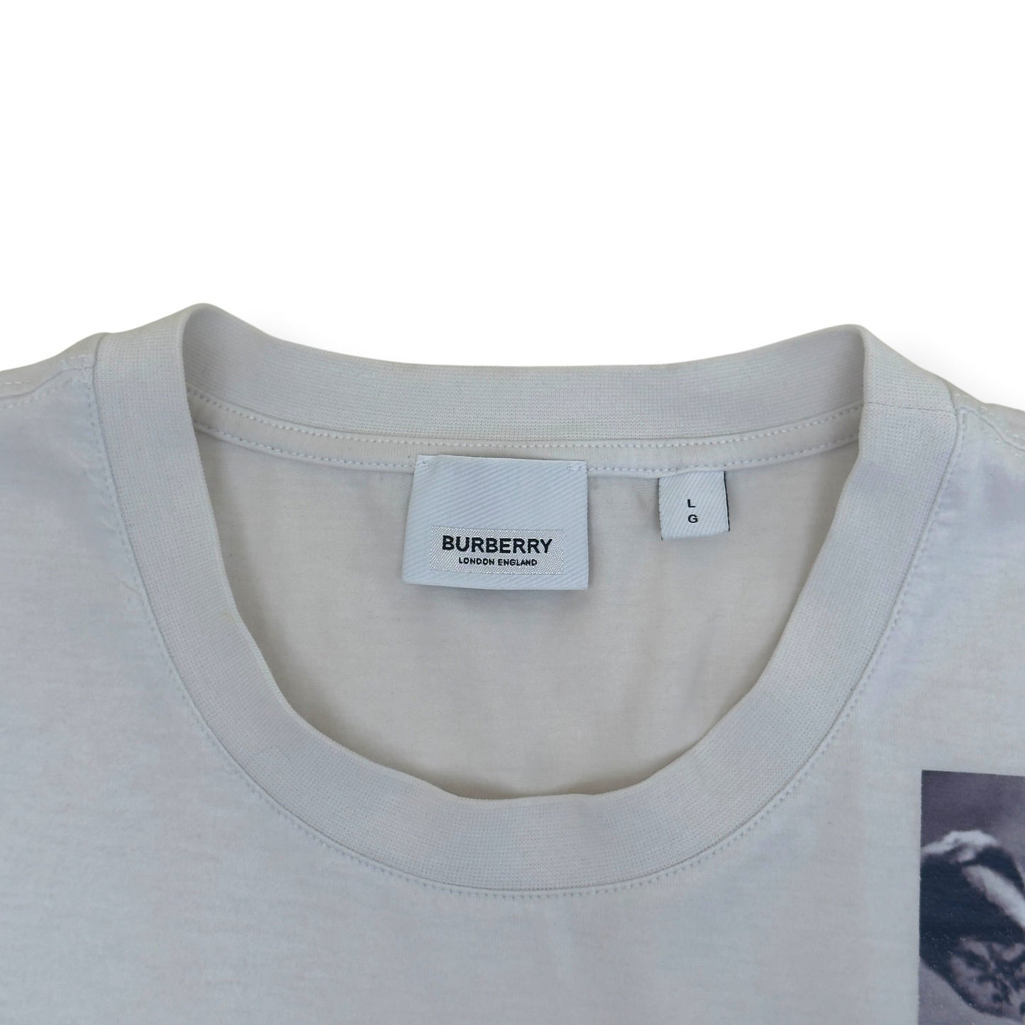 BURBERRY LOVE SWAN PRINT T-SHIRT STONE L | Large, Stone