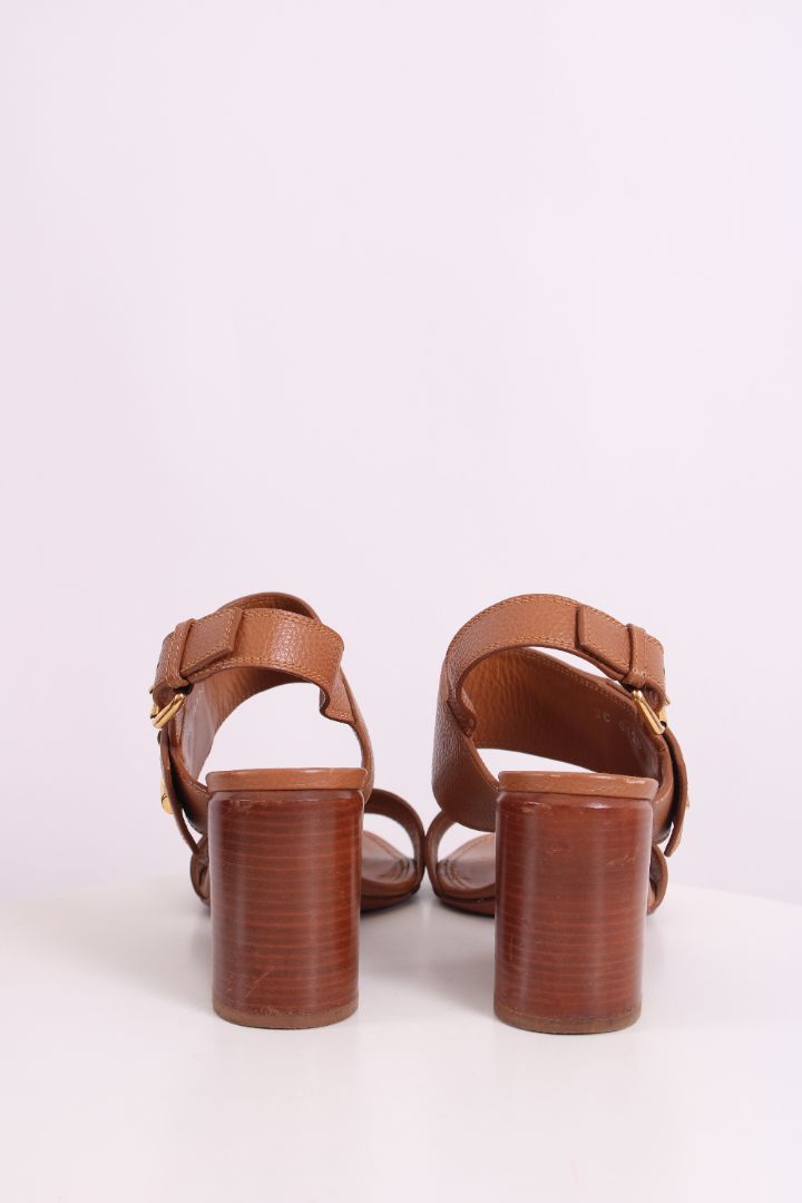 https://cdn.shopify.com/s/files/1/0770/3278/4192/files/IMG_7879_7ebbeef9-6098-430d-8e3b-f8306b951f37.jpg?v=1778163495