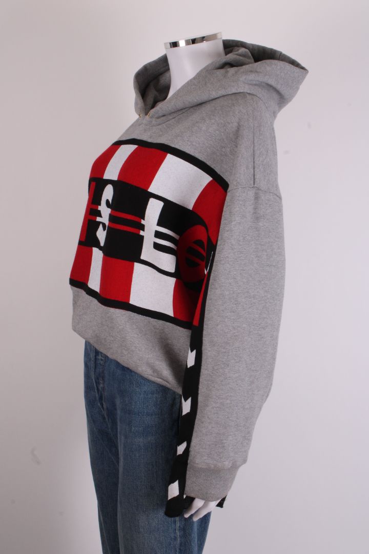 Stella McCartney All Is Love Slogan Hoodie Grey 8 | O/S, Grey