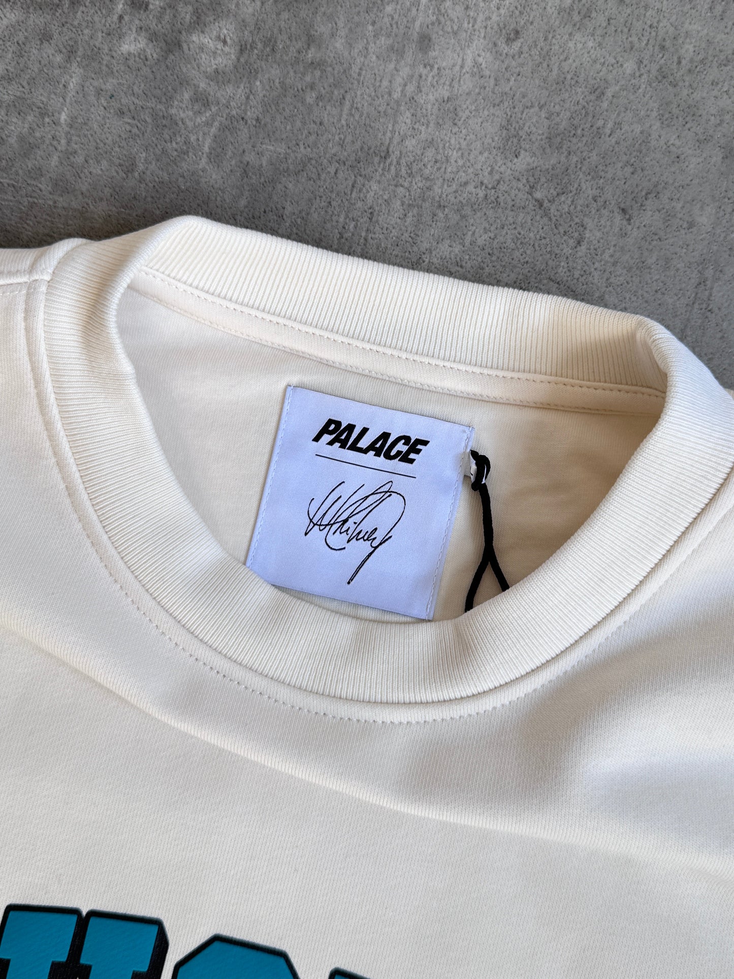 Palace Whitney Houston Estate Crewneck Sweater