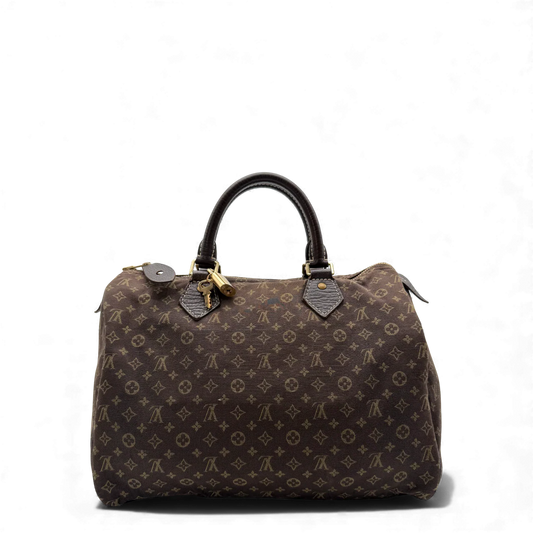 https://cdn.shopify.com/s/files/1/0564/9376/8855/files/Louis_Vuitton_Handtasche_Speedy_Mini_Lin_30_monogram_braun_vintage_LV_handbag3374.webp?v=1764858451