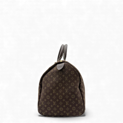 https://cdn.shopify.com/s/files/1/0564/9376/8855/files/Louis_Vuitton_Handtasche_Speedy_Mini_Lin_30_monogram_braun_vintage_LV_handbag3377.webp?v=1764858417