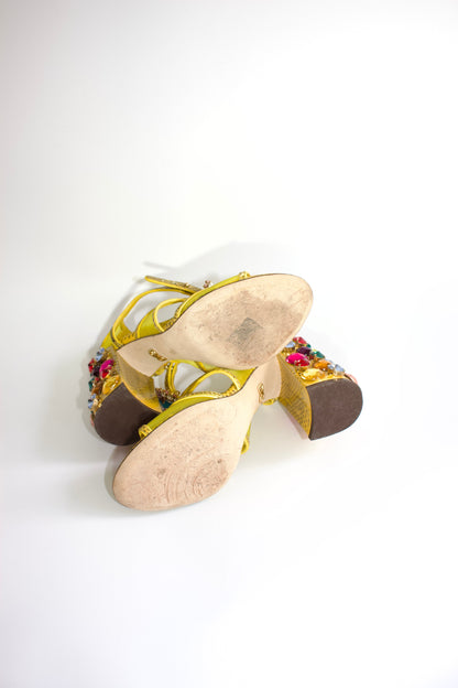 https://cdn.shopify.com/s/files/1/0754/7404/3147/files/MG_1584.jpg?v=1780315600
