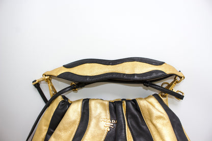 https://cdn.shopify.com/s/files/1/0754/7404/3147/files/MG_1850.jpg?v=1782828067