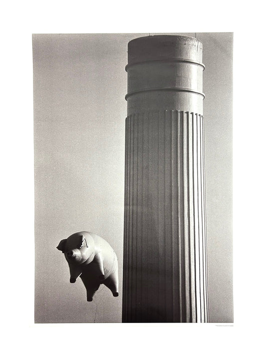 Pink Floyd Pig Poster