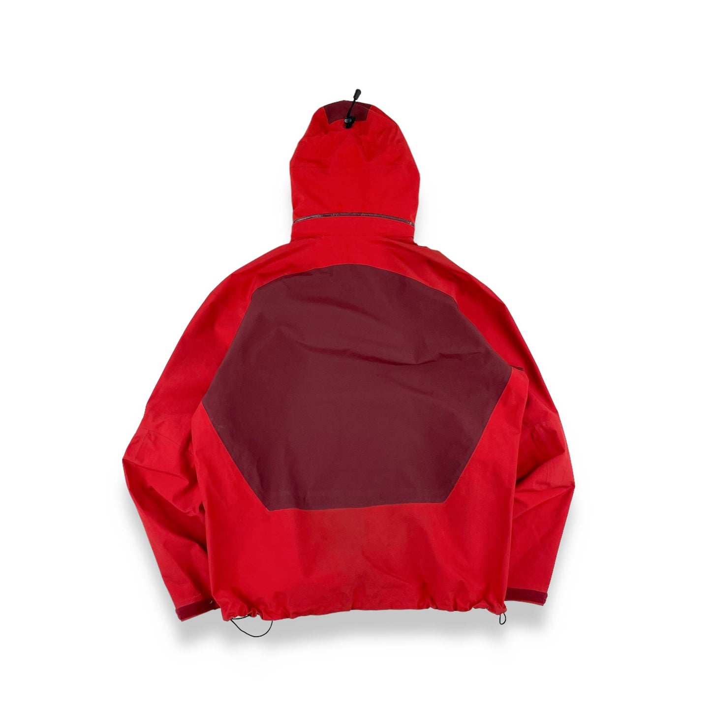 Vintage Arc'teryx Sidewinder (L)