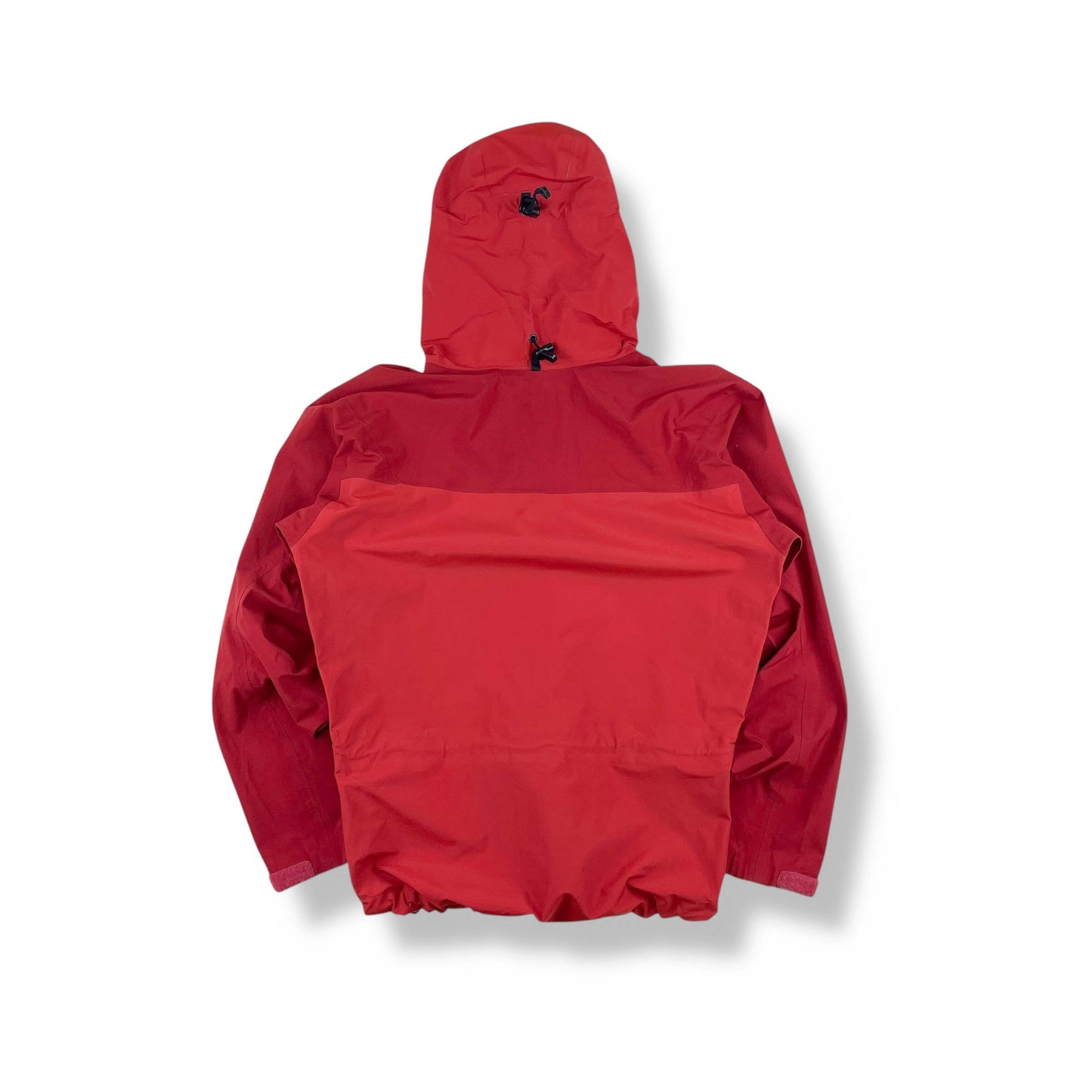 Vintage Arc'teryx Alpha SV (S)