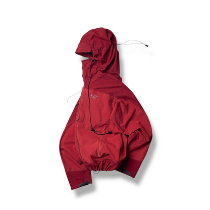 Vintage Arc'teryx Alpha Comp Jacket (L)