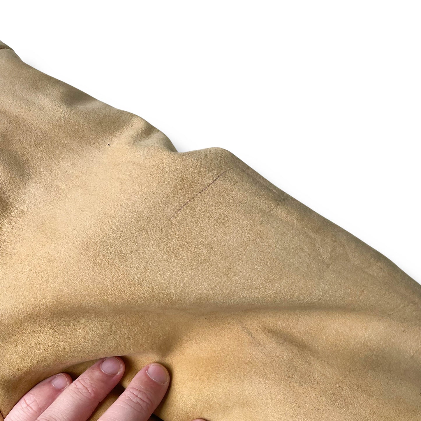 C.P. Company Reversible Jacket (L)