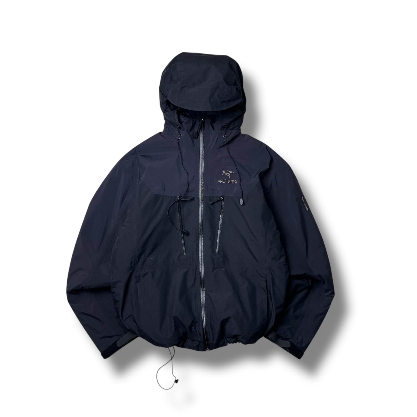 Vintage Arc'teryx Fission SV (M)