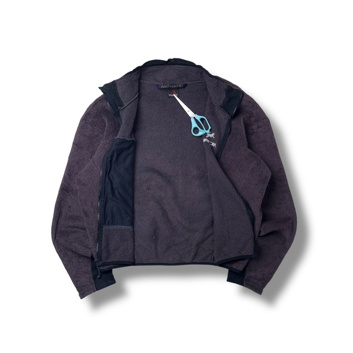 Vintage Arc'teryx Delta R Fleece (L)